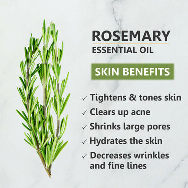 https://cdn.shopify.com/s/files/1/1857/6931/files/MM1EMNlLX5.jpg?v=1731582574